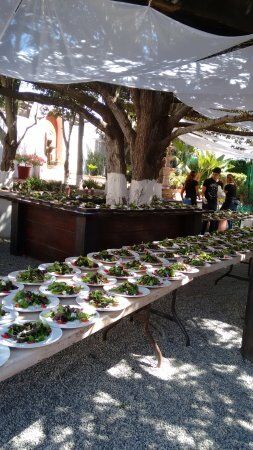 Cocina Silvestre